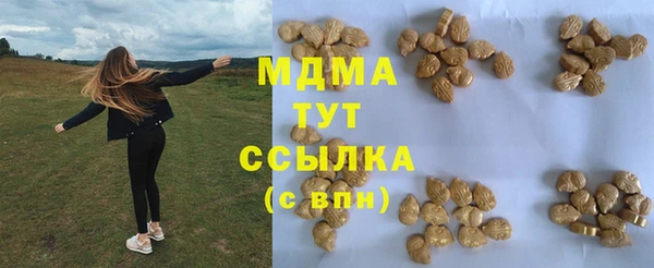 индика Алексин