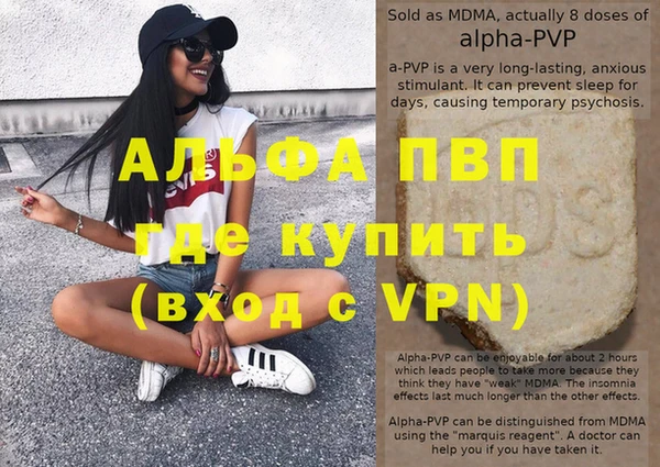 индика Алексин