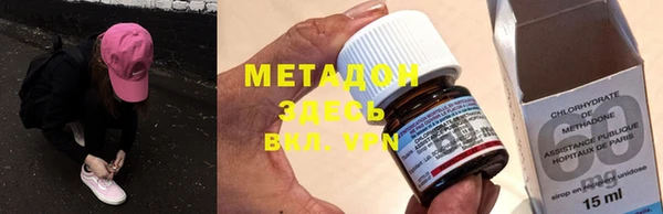 индика Алексин