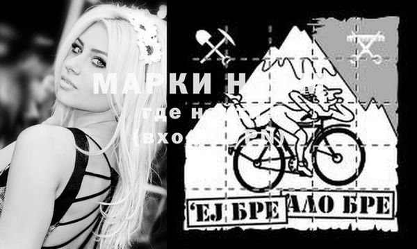 индика Алексин