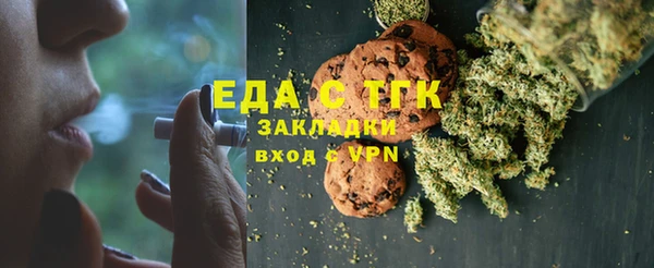 индика Алексин