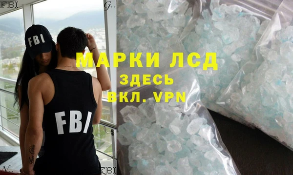 индика Алексин