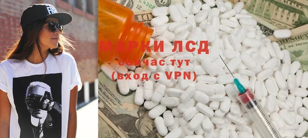 индика Алексин