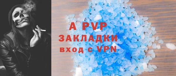 индика Алексин