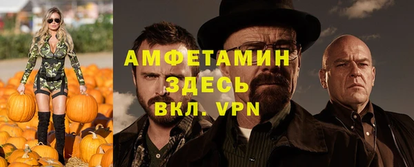 индика Алексин